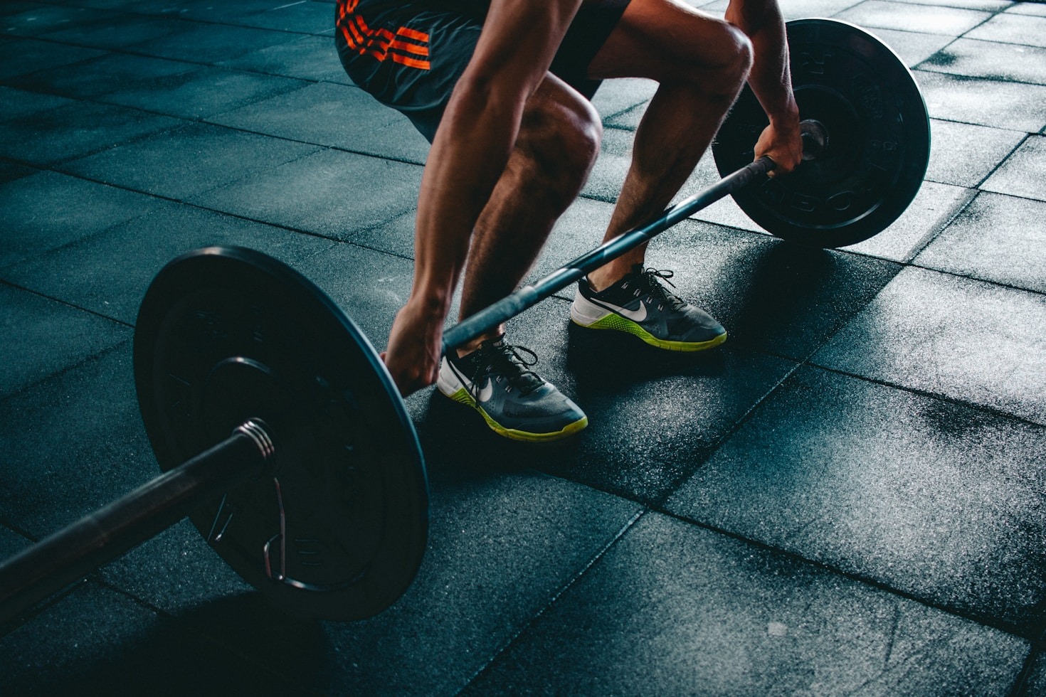La importancia de los datos en el entrenamiento